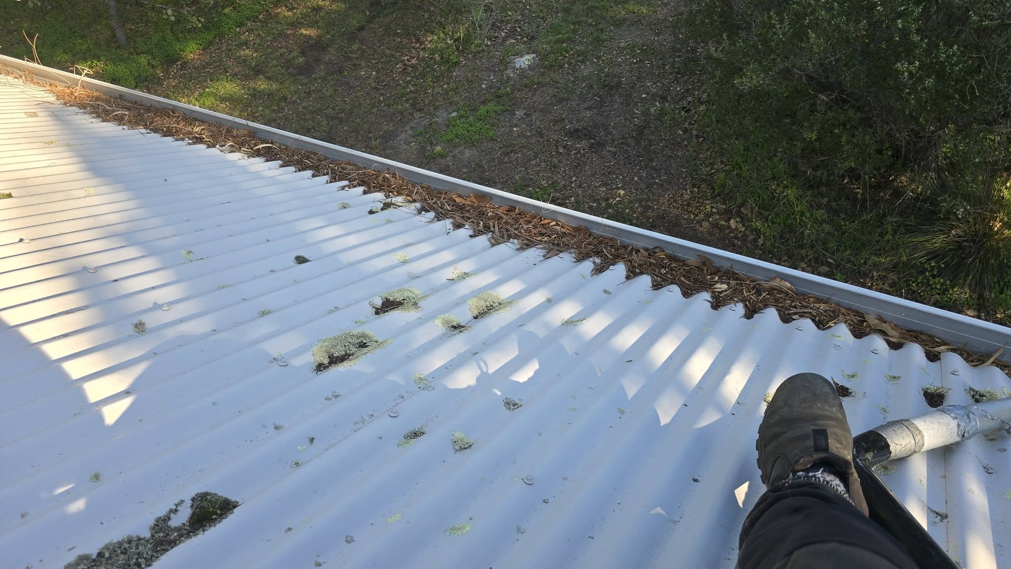 Cleaning gutters on a roof in Albany