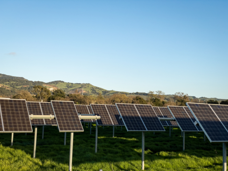 Rows of solar panels