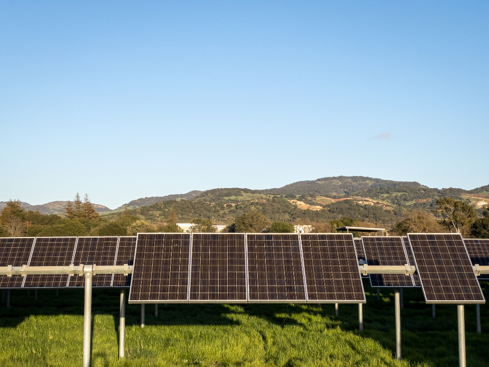 Solar panel array collecting sunlight